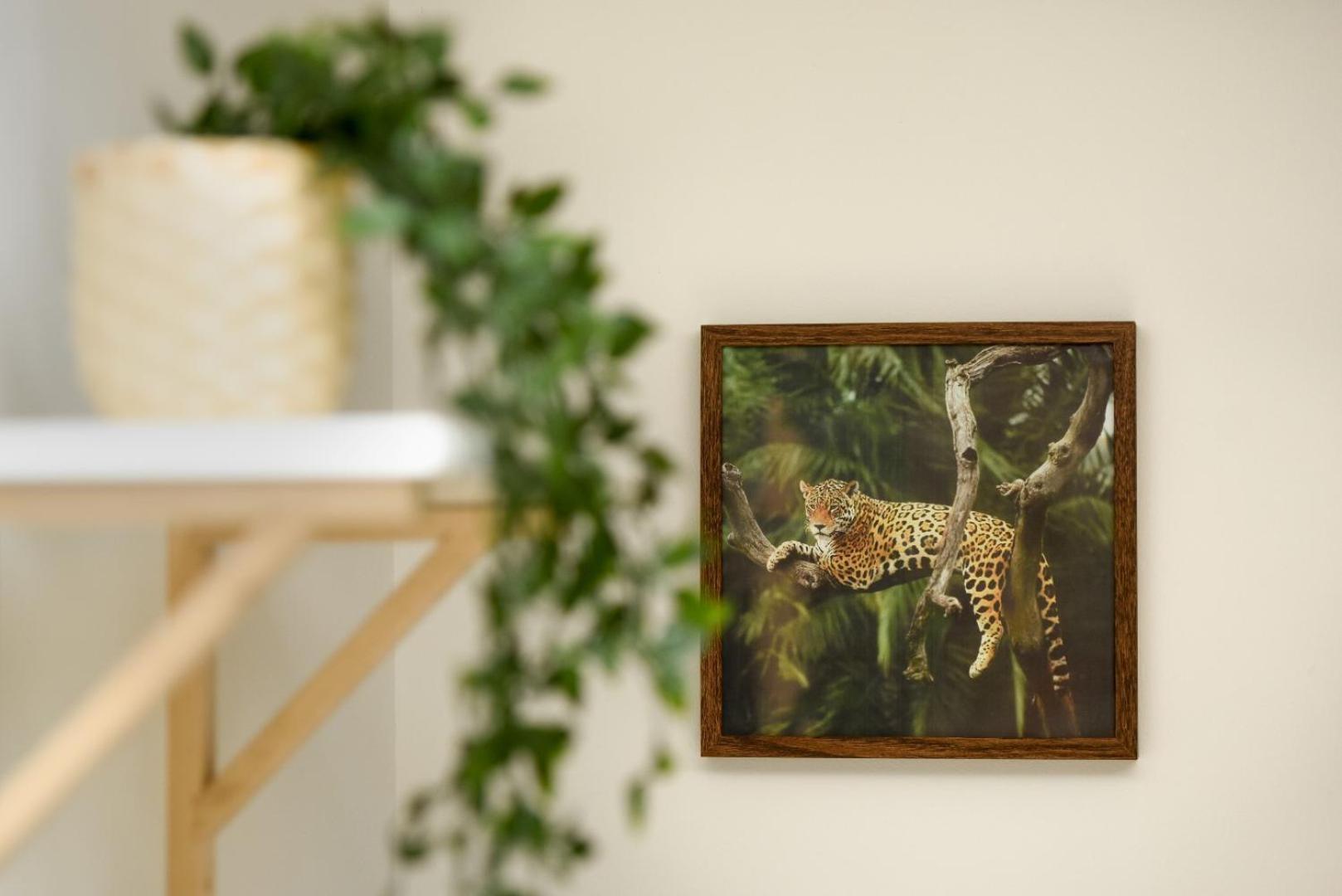 Historic Charm, Modern Comfort - Accommodation In The Heart Of The Old Town ブカレスト 部屋 写真